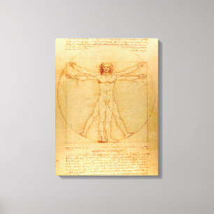Menschliche Anatomie, Vitruvianischer Mann von Leo Leinwanddruck