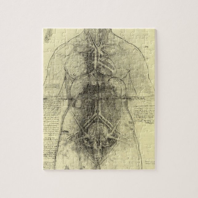 Menschliche Anatomie, weibliche Torso von Leonardo (Vertikal)