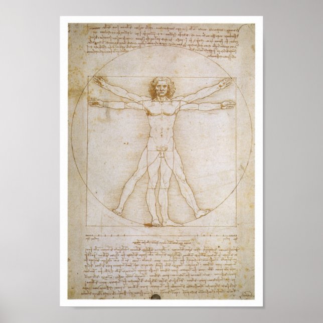 Menschliche Figur im Kreis, illustrierende Proport Poster (Vorne)