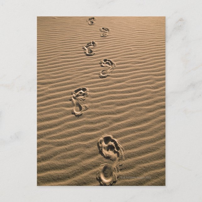 Menschliche Fußabdrücke am Sandstrand Postkarte (Vorderseite)