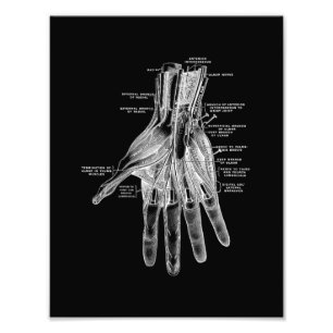 Menschliche Handanatomie im Schwarzweiss-Druck Fotodruck