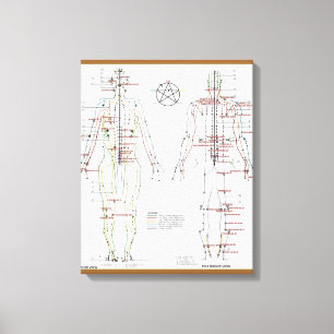 Menschliche Meridiane u. Druck-Pint-Diagramm Leinwanddruck