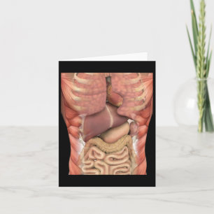 Menschliche Muskeln Organe Gruseliger Anatomie-Leh Karte