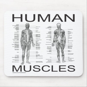 Menschliche Muskeln und Anatomie Mousepad