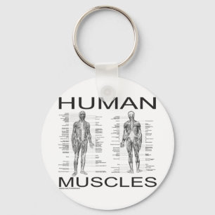 Menschliche Muskeln und Anatomie Schlüsselanhänger