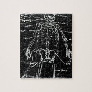 menschliche skeleton Anatomie yaie Tokyos