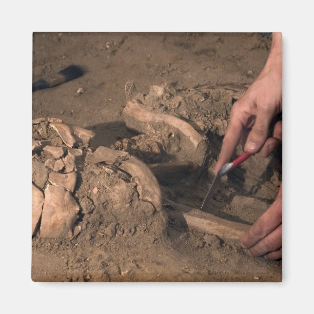 Menschliche Überreste Magnet (Vorne)