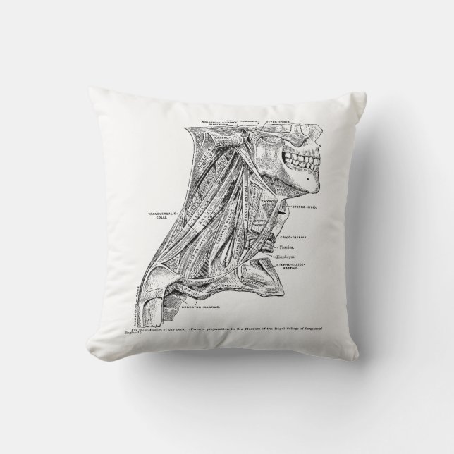 Menschliche Vintage Anatomie-Muskeln des Halses Kissen (Vorderseite)