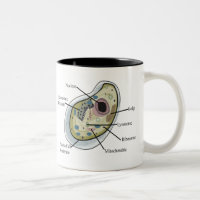 Menschliche Zellen-Biologie-T - Shirts
