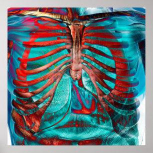 Menschlicher Kasten Poster