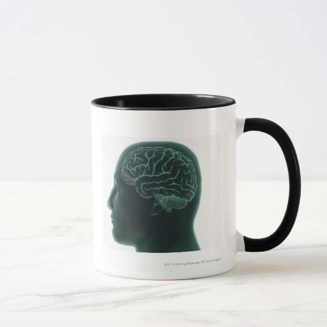 Menschlicher Kopf im Profil, welches das Gehirn Tasse (Rechts)