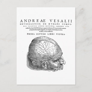 Menschlicher Schädel Postkarte