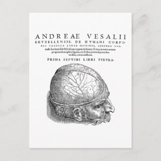 Menschlicher Schädel Postkarte
