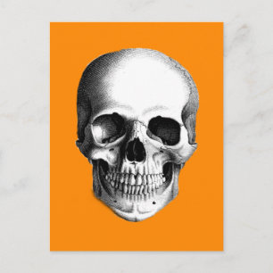 Menschlicher Schädel zu Halloween Orange Postcard Postkarte