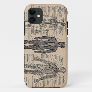 Menschlicher Skeleton medizinischer Diagramm Case-Mate iPhone Hülle
