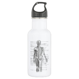 Menschliches Anatomie-Diagramm Edelstahlflasche