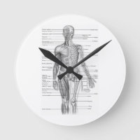 Menschliches Anatomie-Diagramm