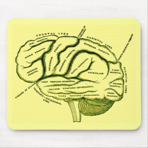 Menschliches Gehirn Mousepad