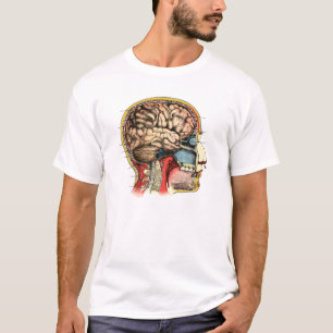 Menschliches Gehirn-Schädel-zervikaler Dorn T-Shirt