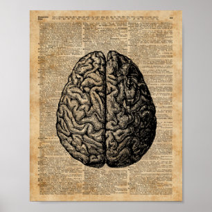 Menschliches Gehirn-Vintage Poster