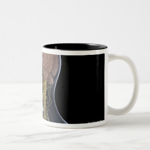 Menschliches Nervensystem Zweifarbige Tasse