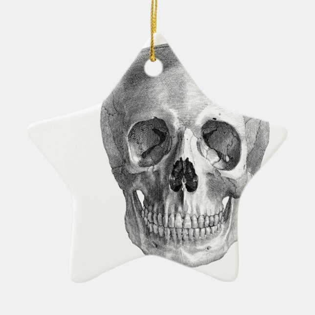 Menschliches Schädelanatomie-Skizzezeichnen Keramikornament (Vorne)