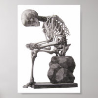 Menschliches Skelett Anatomie Kunst