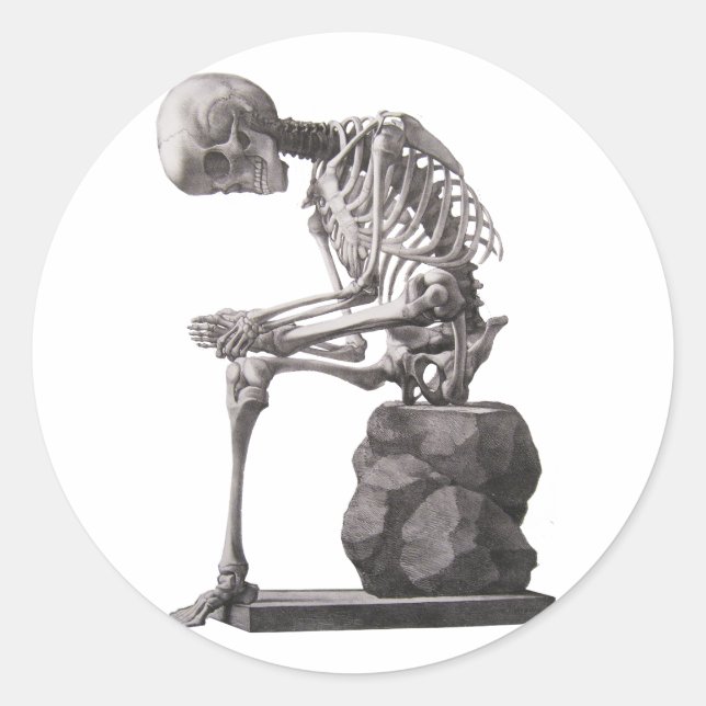 Menschliches Skelett Anatomische Kunst Runder Aufkleber (Vorderseite)