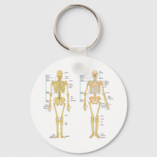 Menschliches Skelett beschriftet Anatomiediagramm Schlüsselanhänger