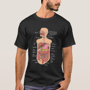Menschliches Verdauungssystem Anatomie Chart Biolo T-Shirt
