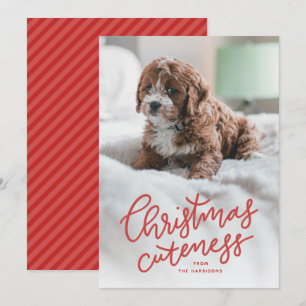 Mention de Noël jolie carte de vacances pour anima