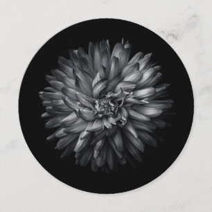 Menu Fleurs jardins En Noir Et Blanc 20