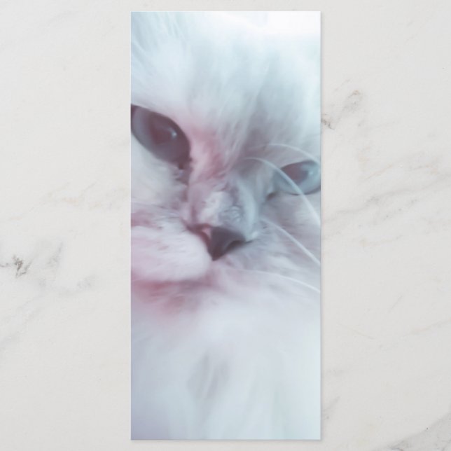 Menu Lilly Signet (Devant)