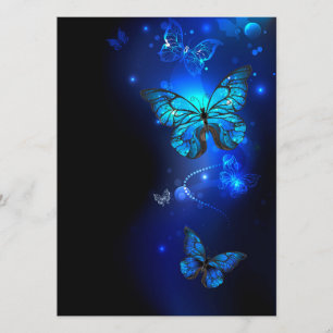 Menu Morpho Butterfly in the Dark Background
