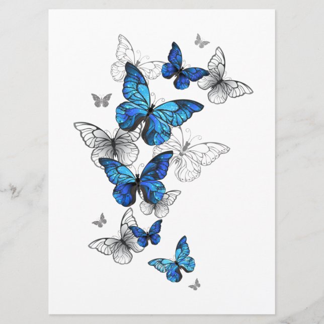 Menu Papillons volants bleus Morpho (Devant)