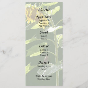Menu Tournesol et Épervier