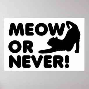 Meor Niemals Funny Poster