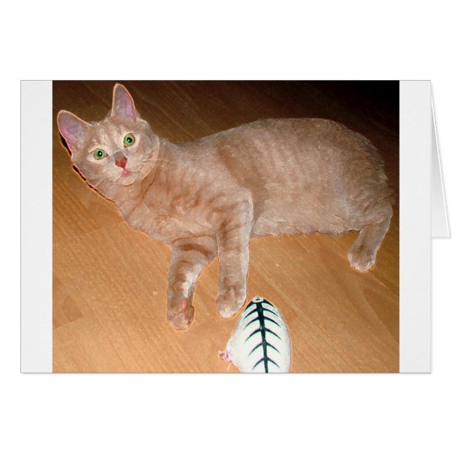 MEOW (Devant horizontal)