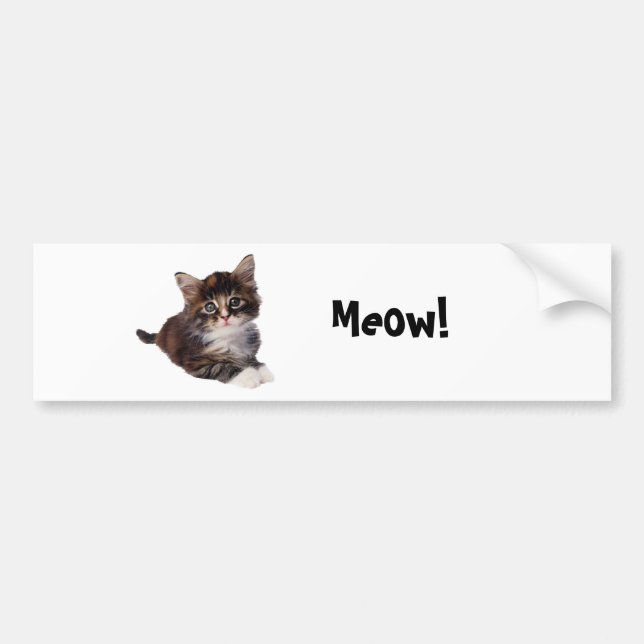 Meow! Autoaufkleber (Vorne)