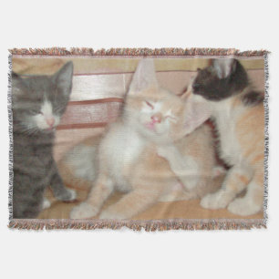 Meow Cats 10 Throw Blanket Decke
