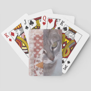 Meow Cats 13 Spielkarten