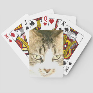Meow Cats 14 Spielkarten