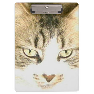 Meow Cats 14 Zwischenablage Klemmbrett