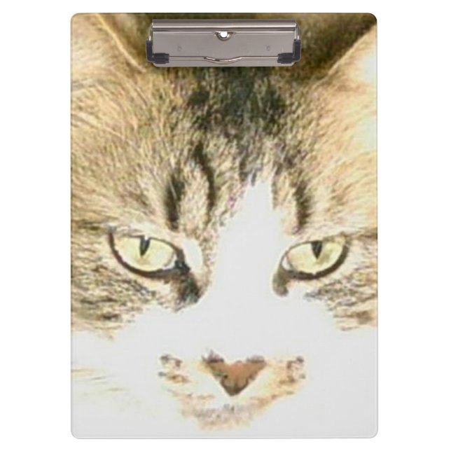 Meow Cats 14 Zwischenablage Klemmbrett (Vorderseite)