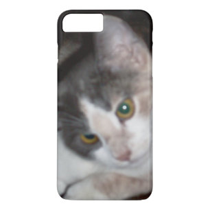 Meow Cats 17 coque iphone