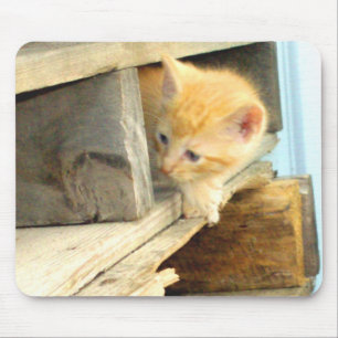 Meow Cats 1 MausPad