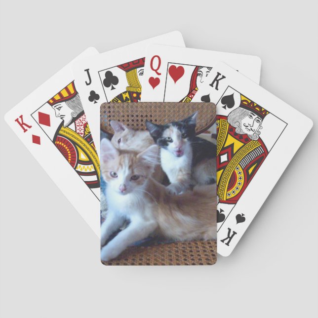 Meow Cats 21 Spielkarten (Rückseite)