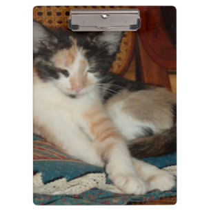 Meow Cats 23 Zwischenablage Klemmbrett
