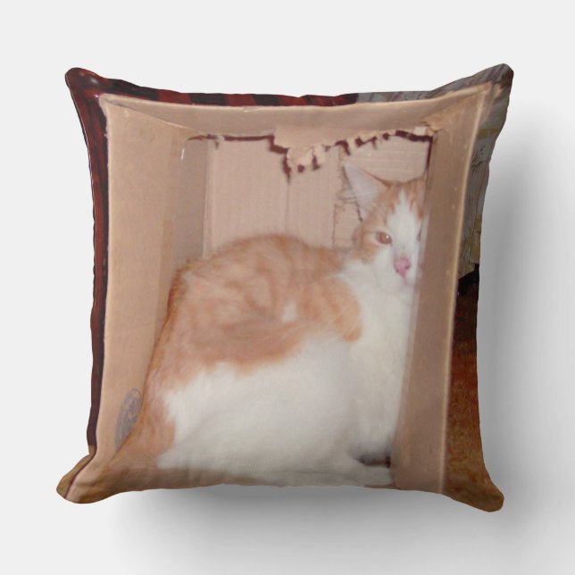 Meow Cats 31 Square Throw Kissen (Vorderseite)