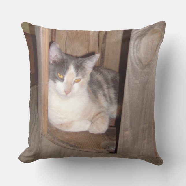Meow Cats 33 Square Throw Kissen (Vorderseite)